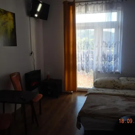 Providentia Witkiewicza 3 Apartment Zakopane
